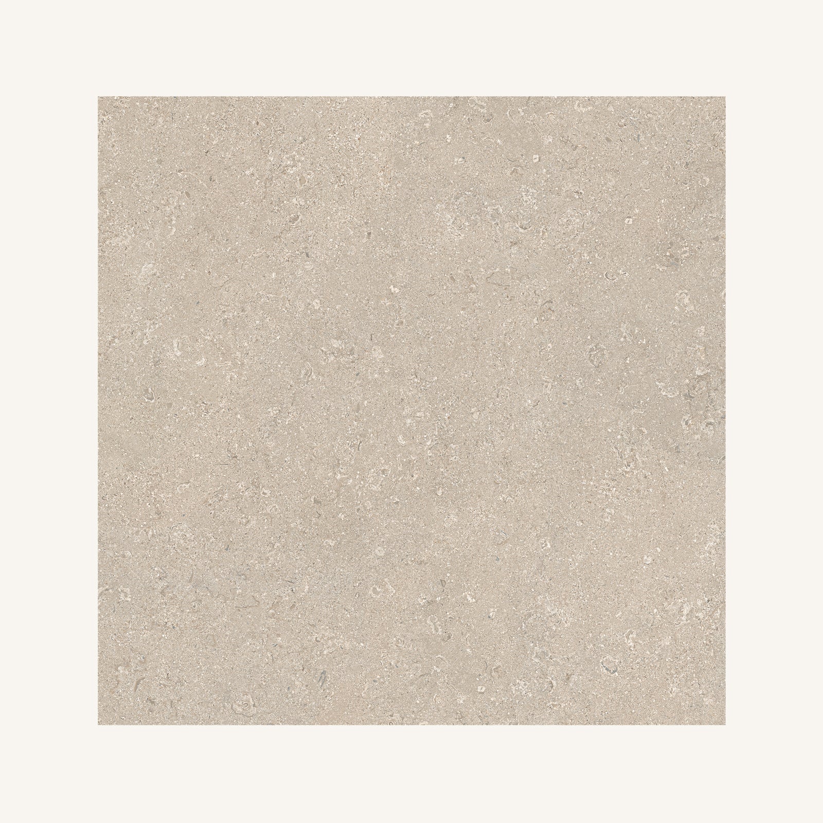Portland Ivory Cliff 60 x 60 - Aztec Tiles