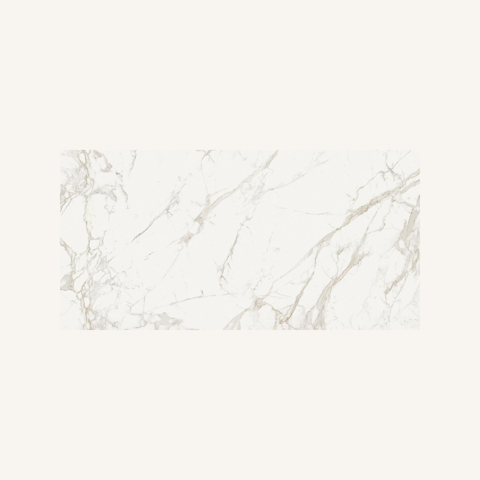 Milos White 60 x 120