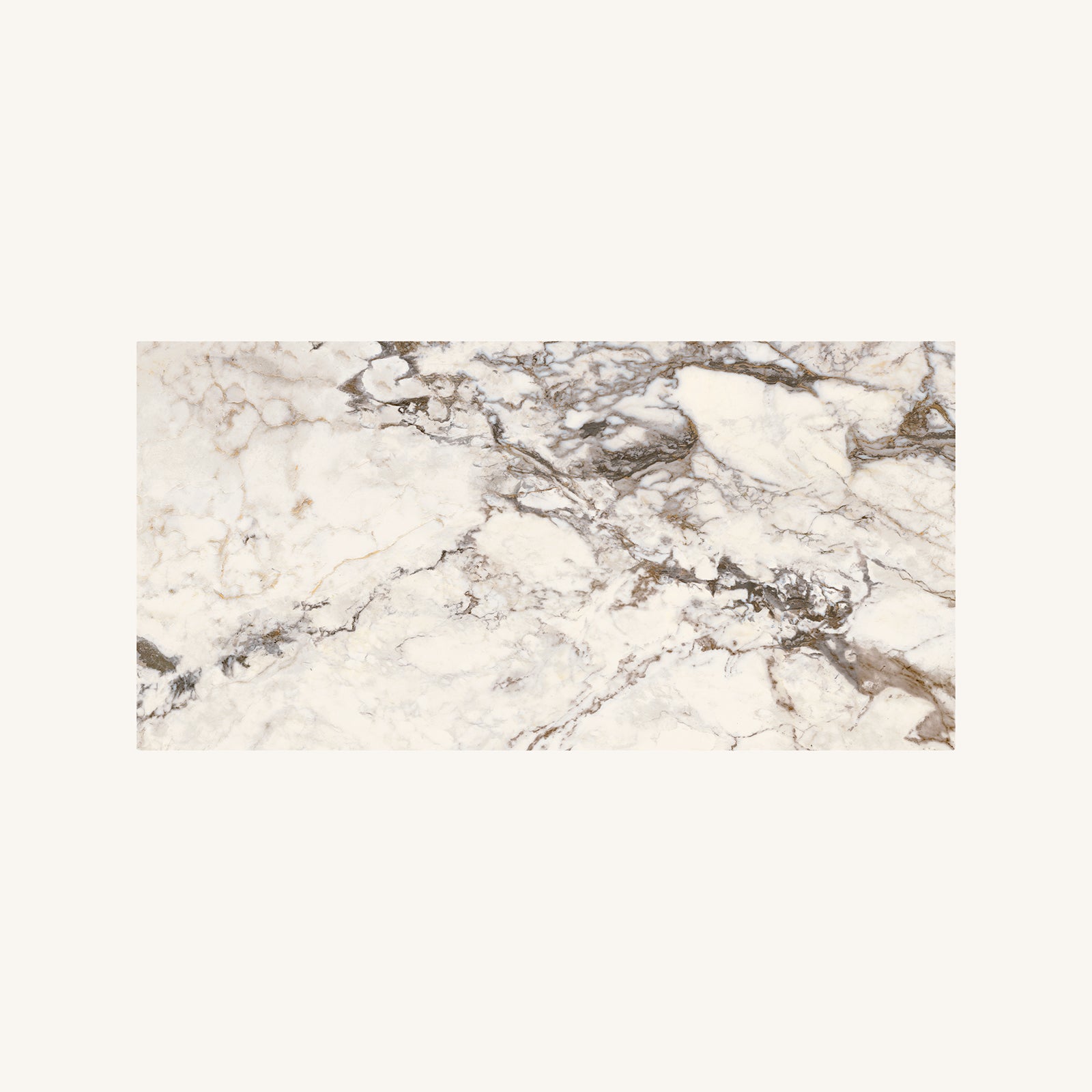 Volterra Tortona Gloss