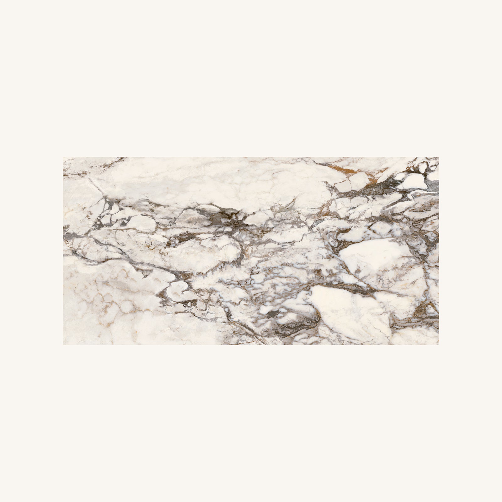 Volterra Tortona Gloss